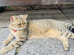 -福道