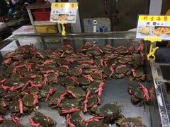 膏蟹肉蟹黄油蟹处女蟹-都斛海鲜街