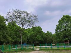 -黄兴公园
