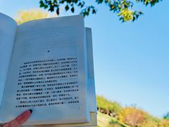 -西安浐灞国家湿地公园