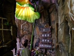 -正佳雨林生态植物园