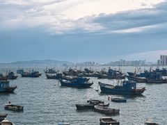 -海源公园