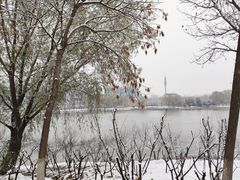 -大兴滨河森林公园