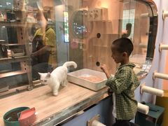 -BABIT巴比特宠物(MOMOPARK店)