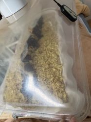 -伊童美家小儿推拿·中式养生(徐汇店)