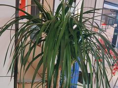 -阿里元海鲜·闽南特色菜(曾厝垵店)