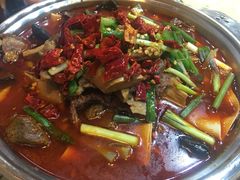 筋头巴脑-粥公粥婆精品家常菜(青龙桥店)