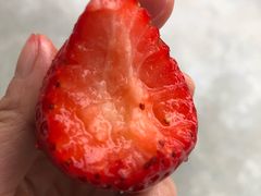 -洪湖家庭农场·团建·露营·会议