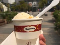 -哈根达斯(深圳海岸城店)