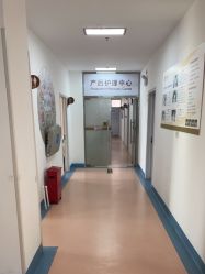 -北京安琪