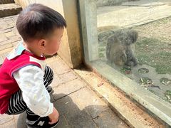 -武汉紫薇都市田园