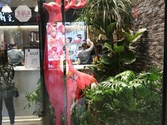 -茶理宜世(花城汇中区店)