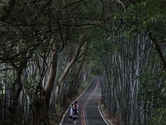 -广东茂名森林公园
