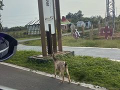 -南京市无想山景区