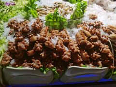 -海吃海喝海鲜烤肉炭火主题自助餐(朝阳店)