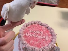 -爱侣宠医·鹦鹉专科·小型哺乳类·异宠专科(灵石路店)