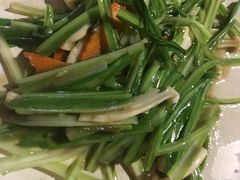 -大树下海鲜饭店