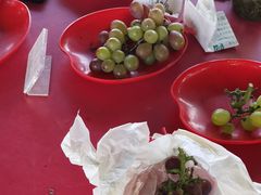 -马陆小张葡萄园农家乐