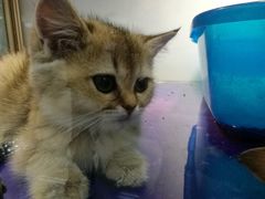 -乐宠宠物店(世纪金源店)