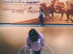 -包头博物馆