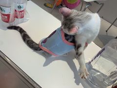 -怪兽屋·羊驼·猫咖·狗咖(俊华广场店)