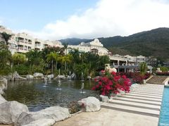 android_upload_pic-三亚亚龙湾凯莱仙人掌度假酒店