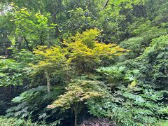 -雁荡山风景名胜区
