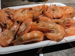 南美白虾-盒马鲜生(大成店)