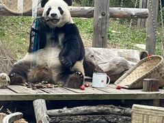 -大连森林动物园