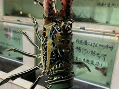-海盗餐厅