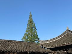 -乌镇东栅景区
