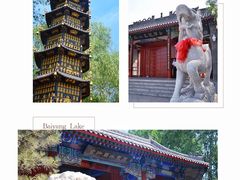 -白洋淀景区
