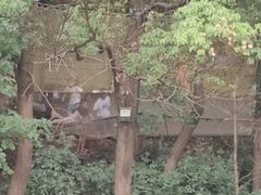 -张公山寨景区