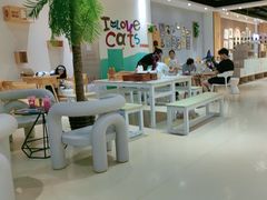 -藏猫猫咖啡主题馆(中央大道店)