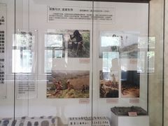 -北京动物园-畅观楼