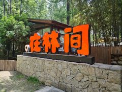 -林间山庄