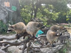 -宁波野生动物园