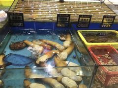 -金鼎大酒店·中餐