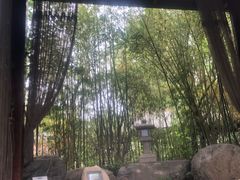 -楼观道温泉酒店