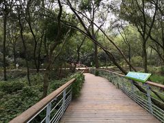 -西湖风景区-江洋畈生态公园