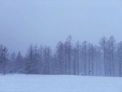 -青池