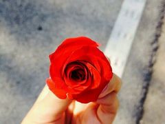 -武汉华夏国际影城(鲁广店)