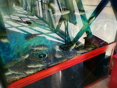 -肆月河豚·新淮扬(金融街店)