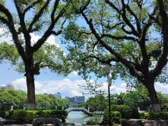 -桂林市榕杉湖景区