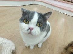 -1013 PET SHOP 宠物商店(近铁城市广场店)