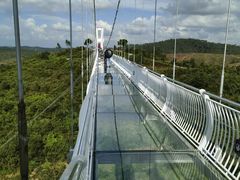 -田园寨农园观光园