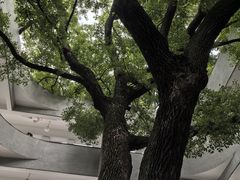 -湖北美术学院(昙华林校区)