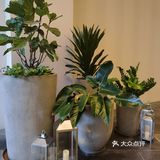 6次带娃海棠湾入住心得
