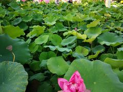 -龙环葡韵住宅式博物馆