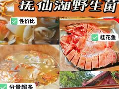 -抚仙湖生态石锅鱼野生菌(告庄店)